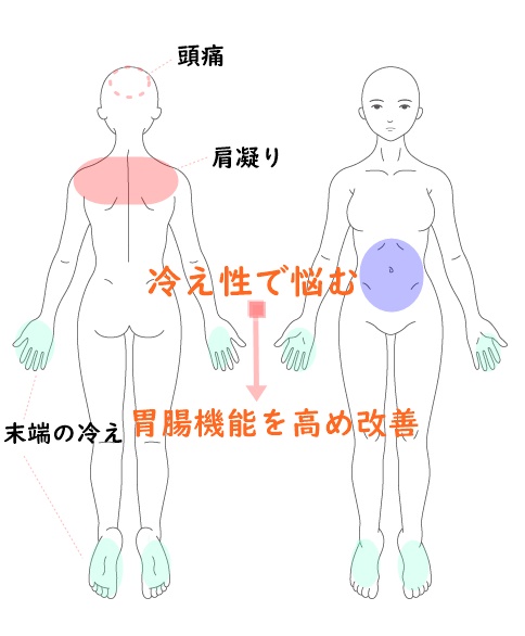 冷え性と胃腸