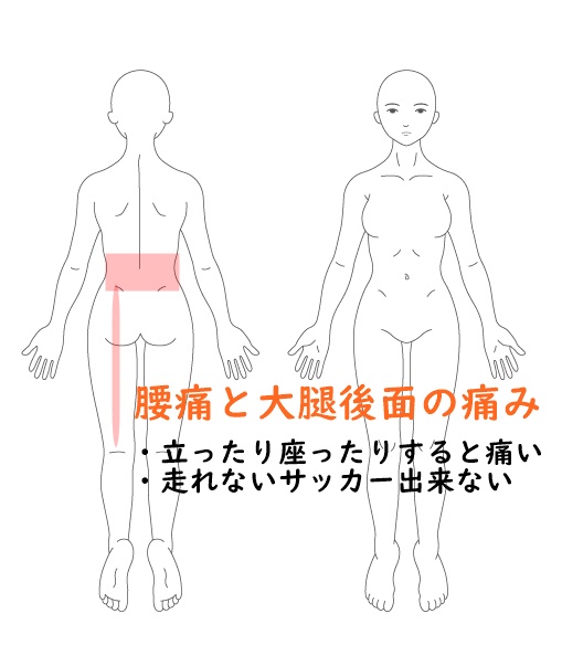 腰痛とハムスターの痛み