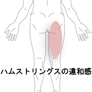 肉離れ後の反対側に出た張るような痛み 室蘭登別 すのさき鍼灸整骨院 肩こり 腰痛 自律神経失調症 頭痛専門院